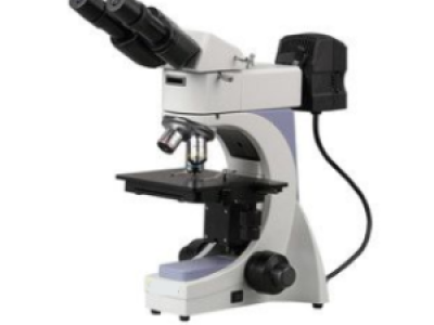 microscope metalloroguique 300x261 1